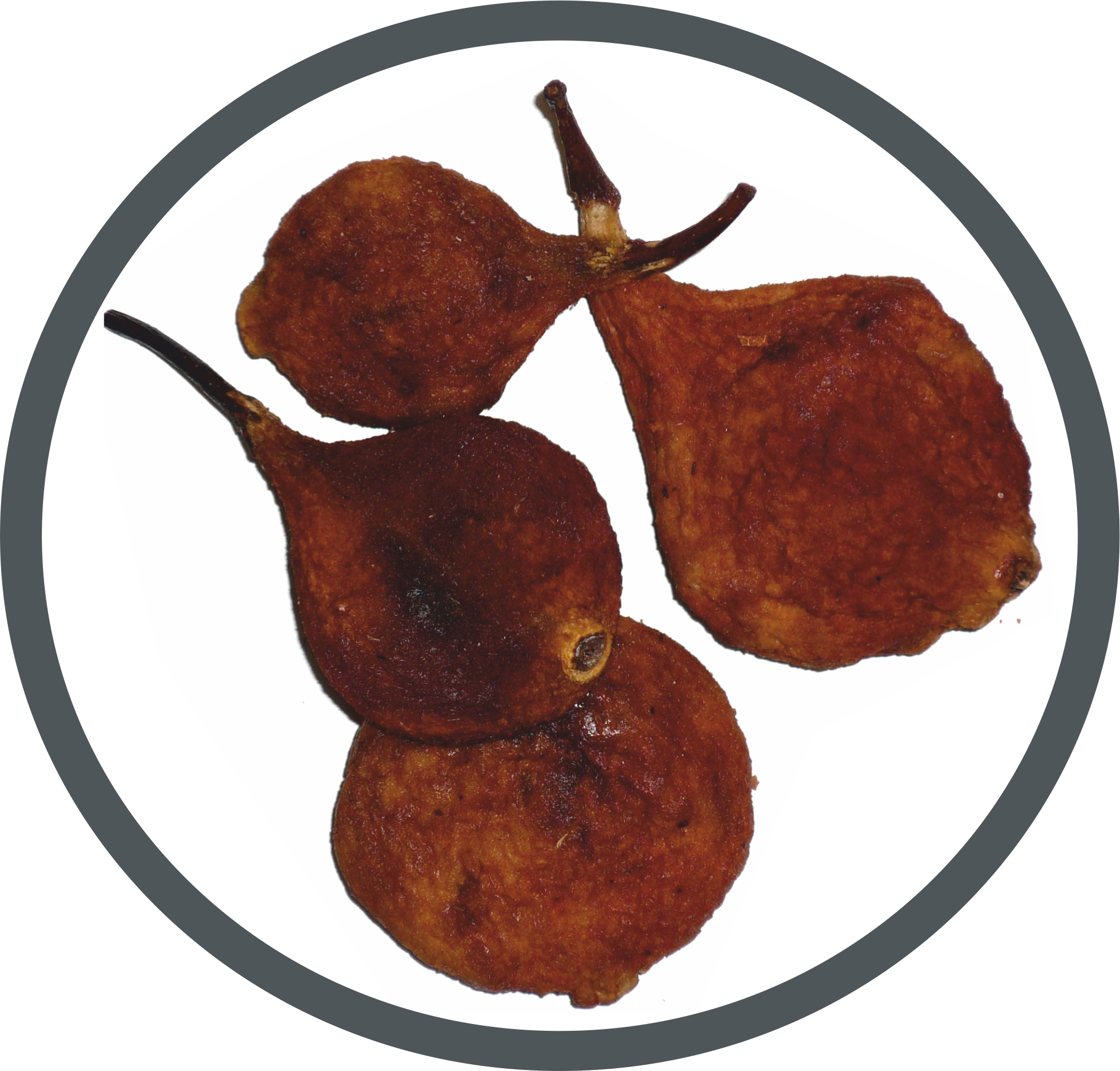 Dried pear