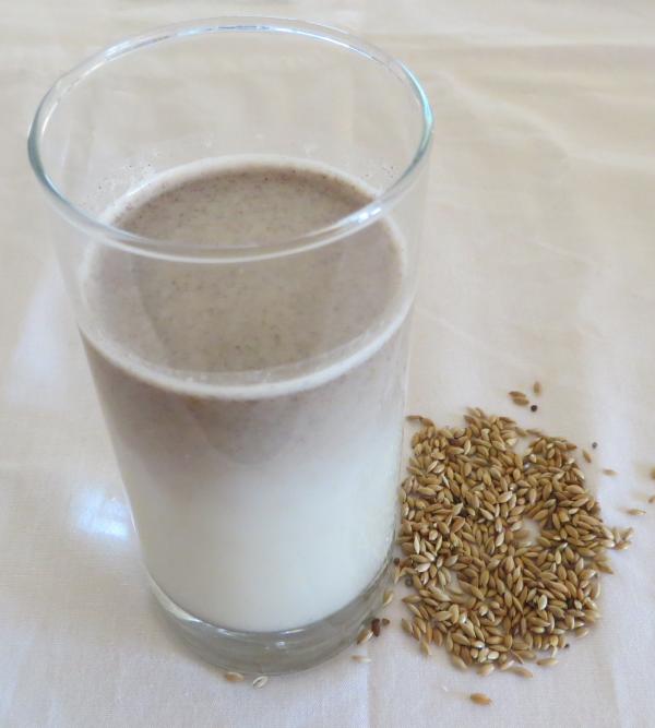 Alpiste canary seed milk in a glass.