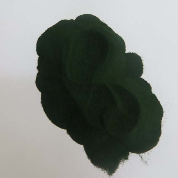 Chlorella