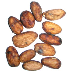 Cocoa beans.