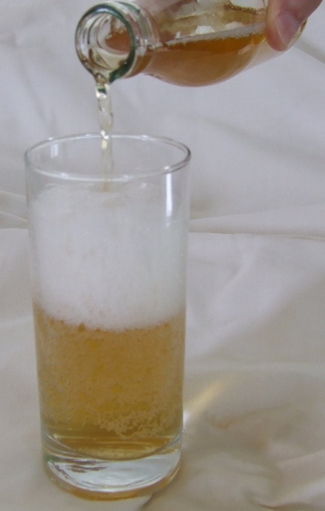 Bottle and glass of Kombucha