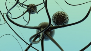 Neurons Image