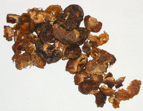 Soapnut shells