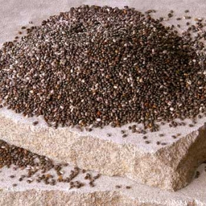 chia seeds on rock