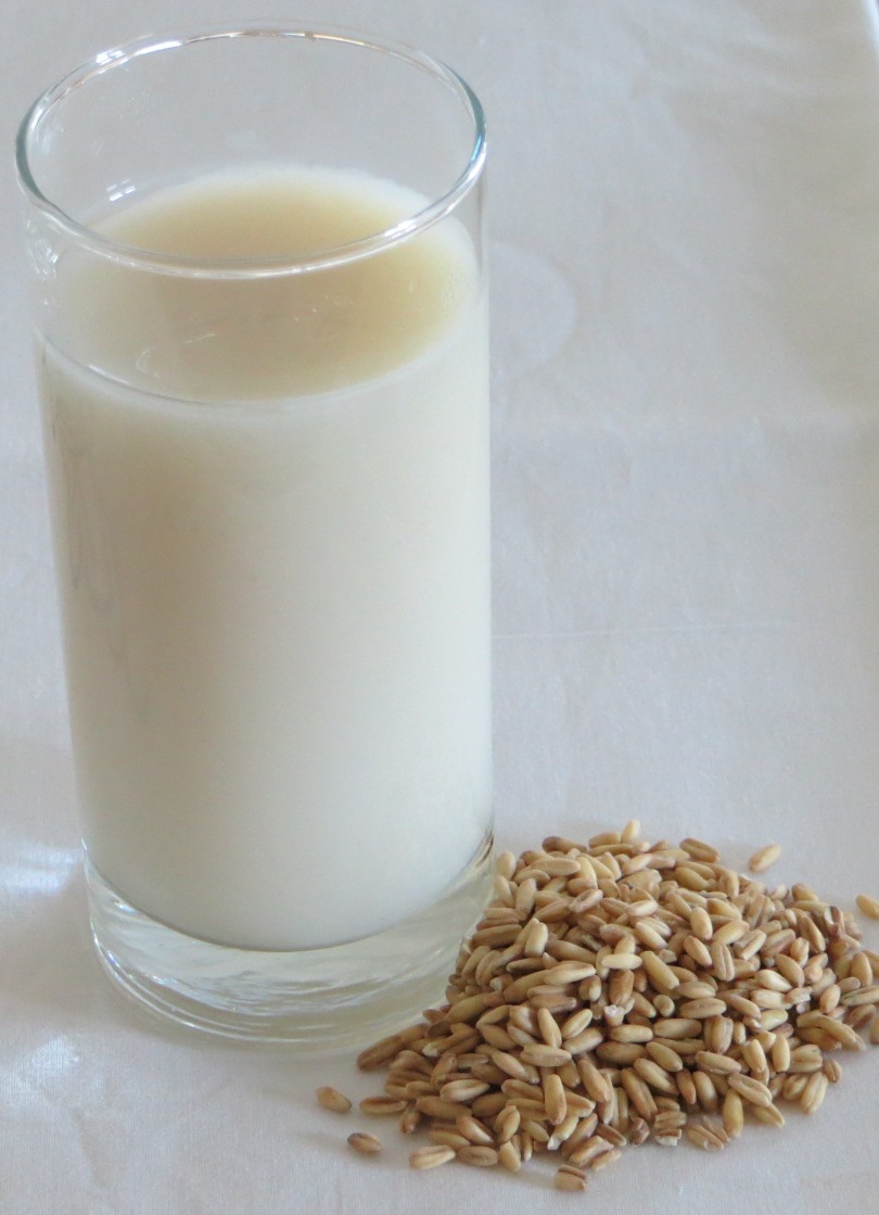 Glass of oat milk and oat grains